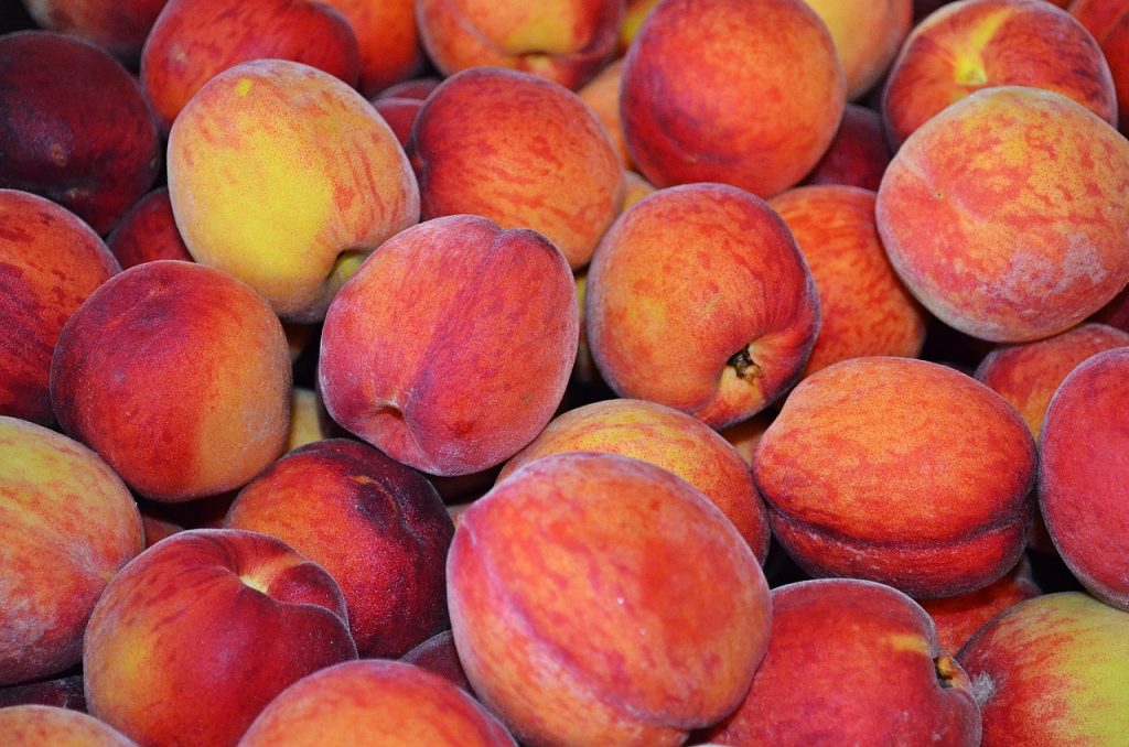 Are Red Haven Peaches Good for Canning
