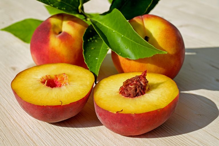 What Insect Is Eating My Peaches? [4 Common Insects & Solution]